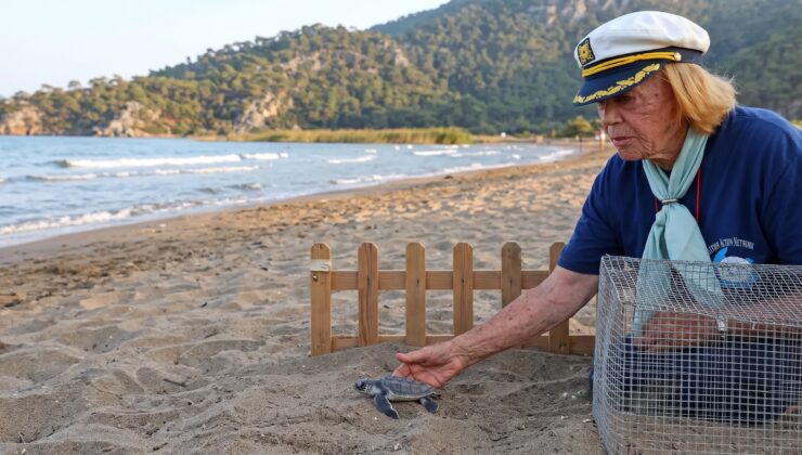 Jet sosyeteden Dalyan’a uzanan asırlık ömür: Caretta carettaların koruyucu annesi June Haimoff kimdir?
