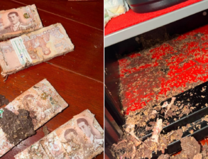 Tayland’da akılalmaz olay: Kasa içindeki 1,4 milyon TL’lik birikimi karıncalar yedi